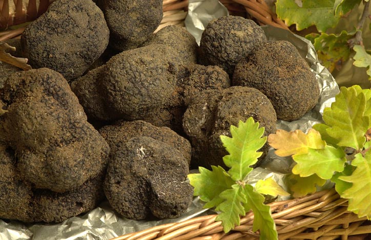 truffe noire