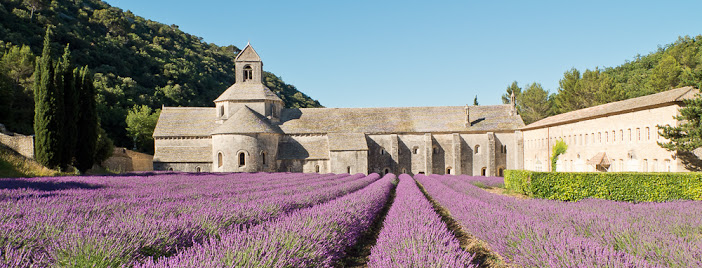 abbaye de sénanque